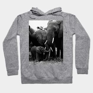 Vintage Kenya Elephants Hoodie